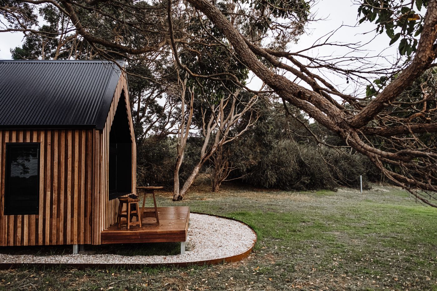 Compact timber studio under a tea tree